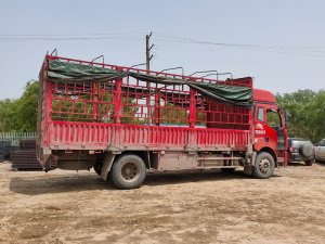 金用護欄2021年4月29日鋅鋼飄窗護欄發貨！